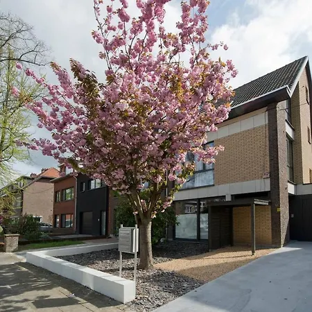 Apartment Akker Duplex Mortsel